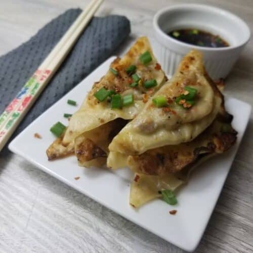 Goose Gyoza (Potstickers) with Dipping Sauce