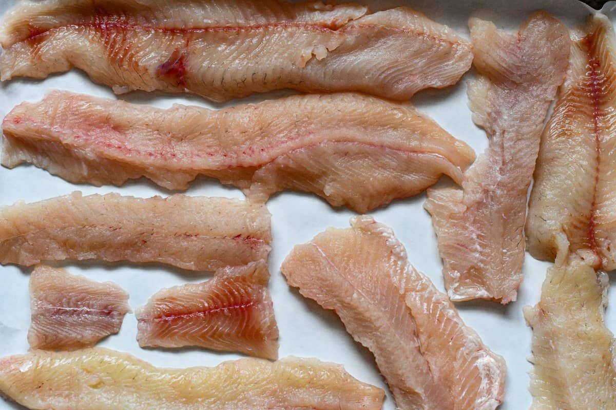 Northern Pike Fillets