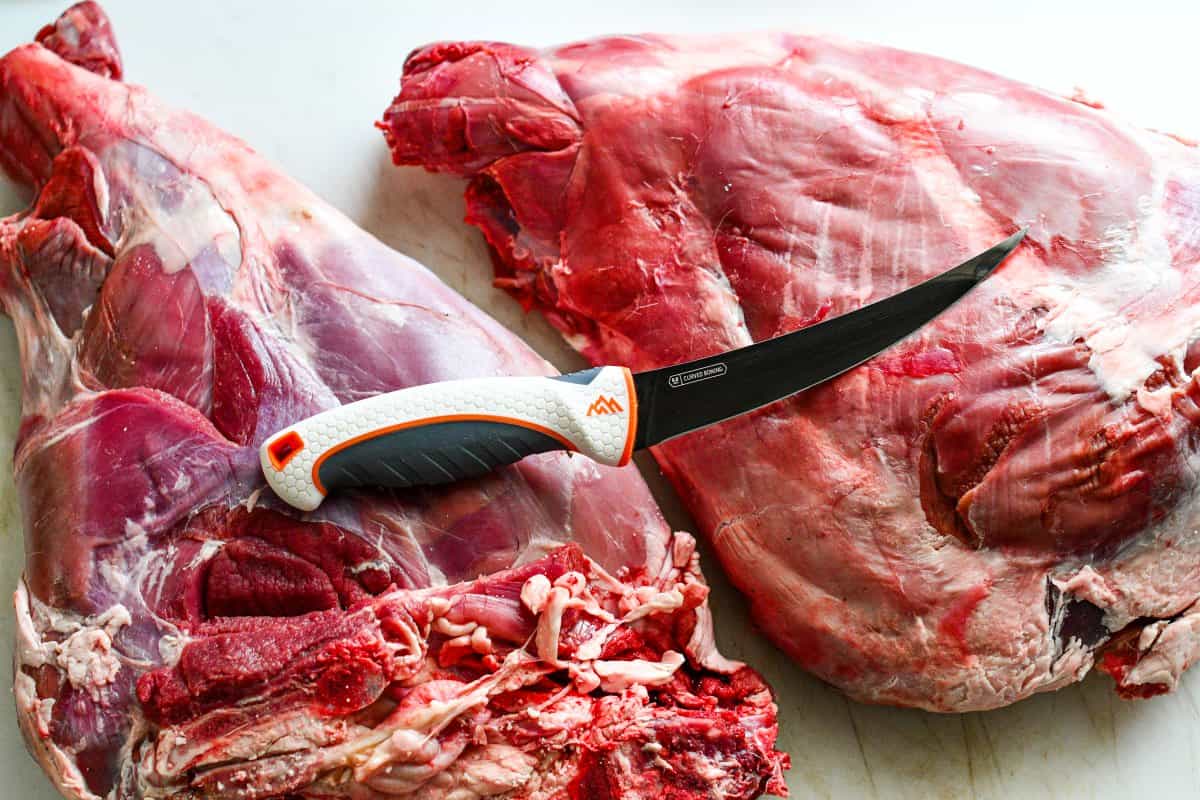 Deer Hindquarter with Outdoor Edge Curved Boning Knife