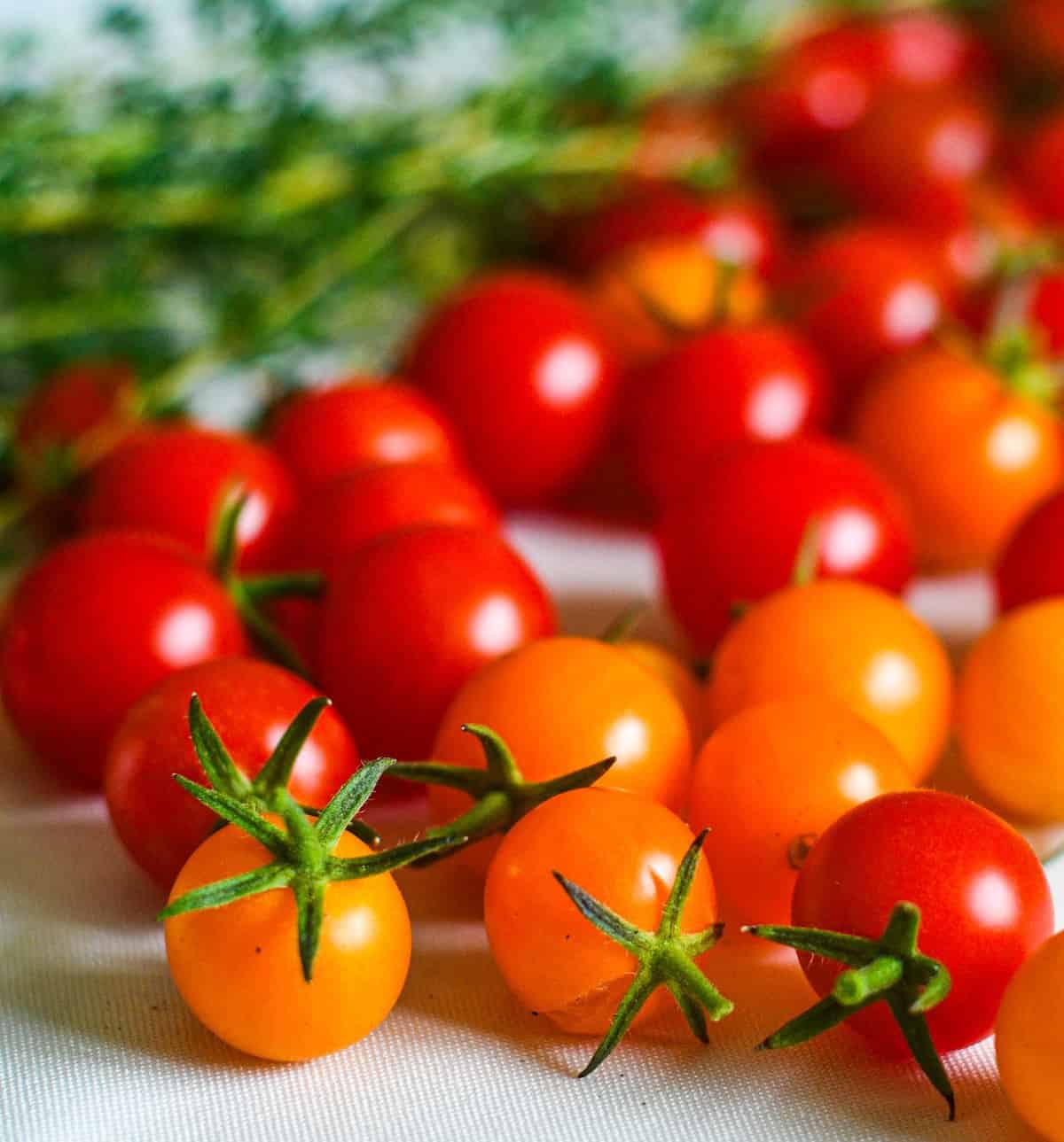 Cherry Tomatoes and Fresh Herbs for Succotash