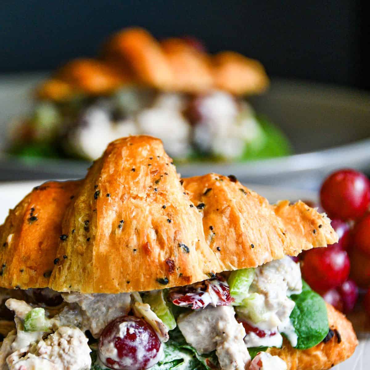 Pheasant Salad Sandwich with Grapes by Jeff Benda