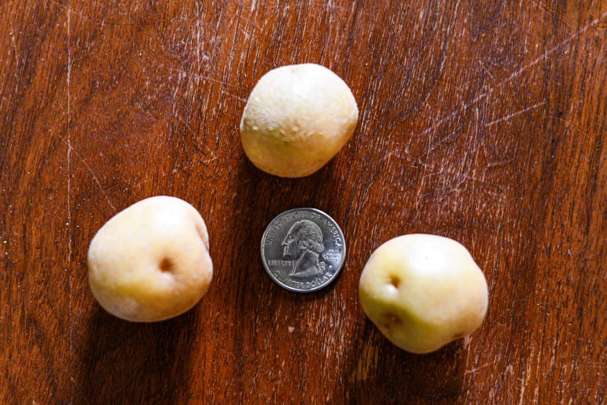 Baby Potatoes with Quarter