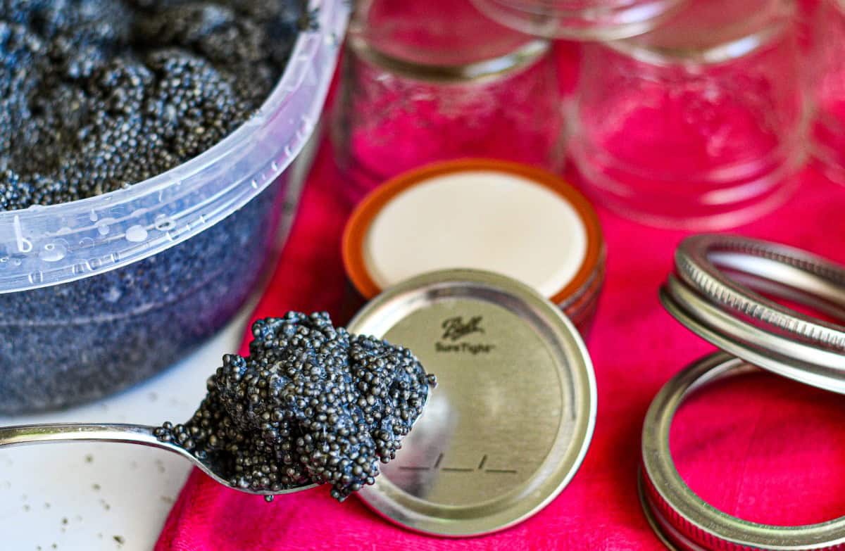 How to Make Paddlefish Caviar