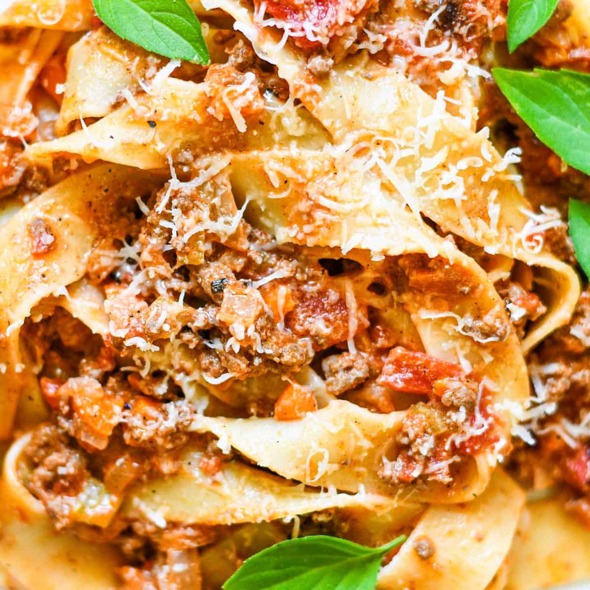 Venison Bolognese by Jeff Benda