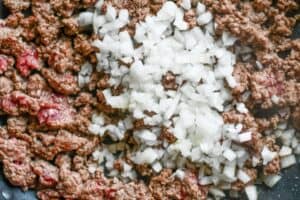 Ground Venison with Diced Yellow Onion