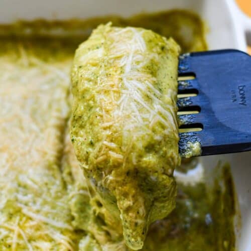 Venison Enchiladas with Poblano Cream Sauce