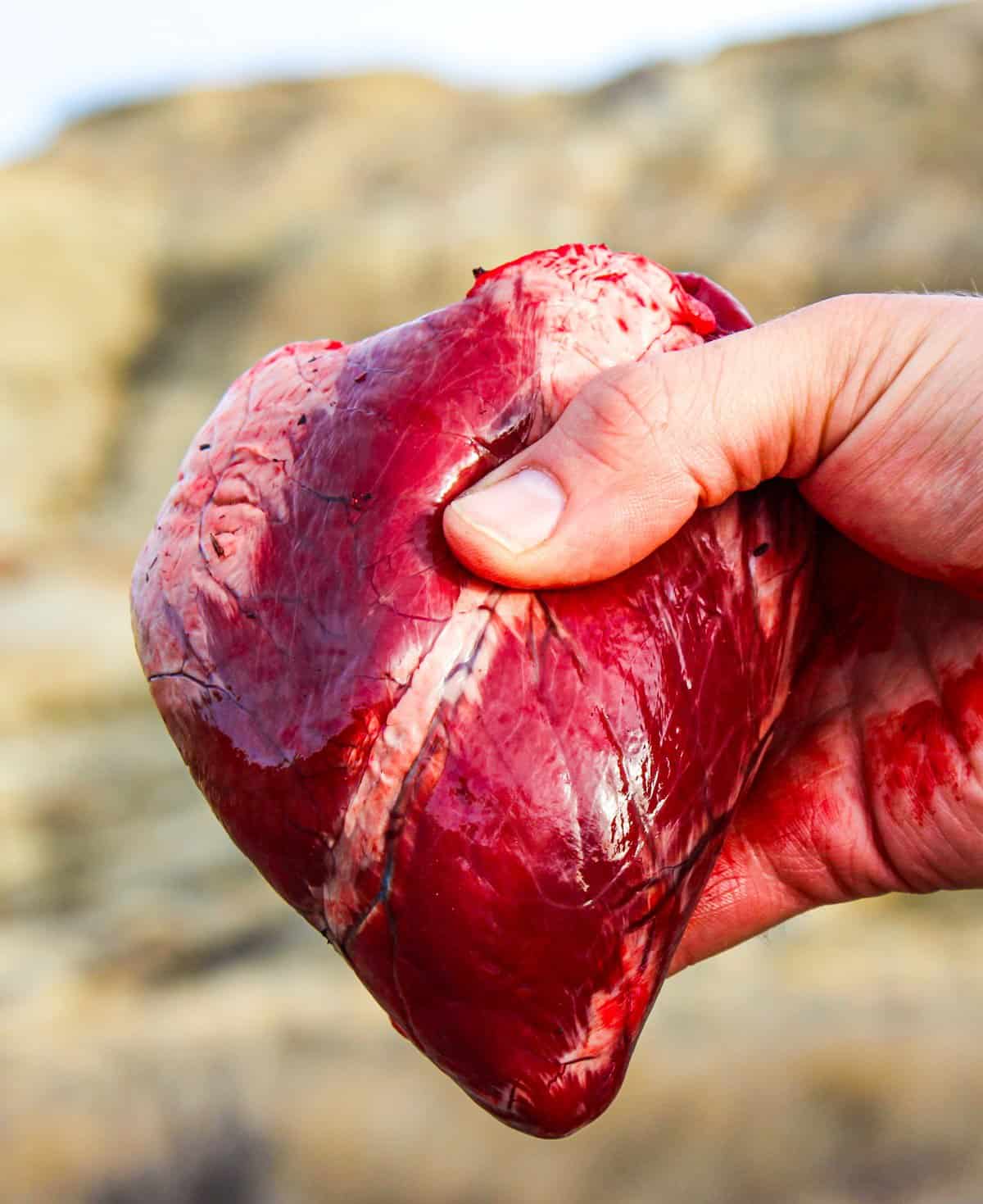 Deer Heart