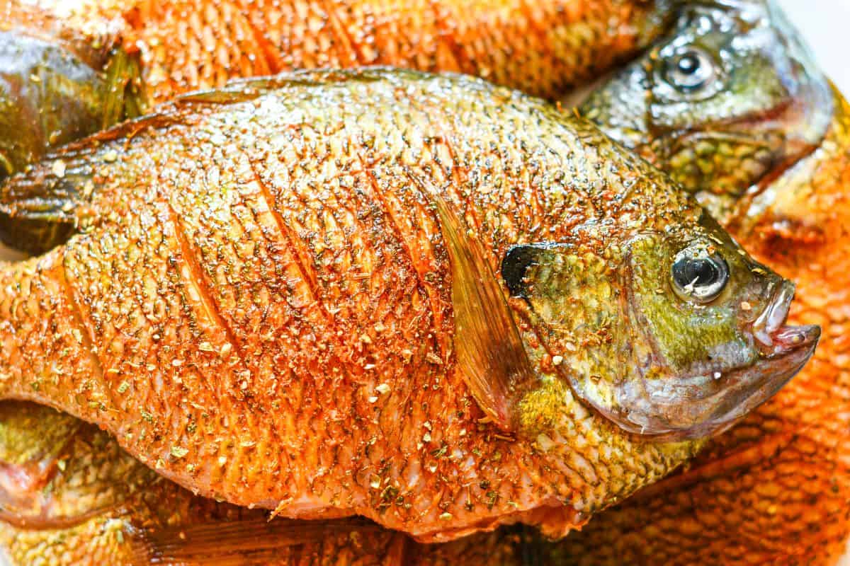 Bluegill seasoned with Sazon Goya seasoning, cumin, and oregano