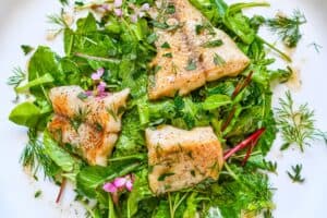 Pan Seared Northern Pike and Radish Greens Salad