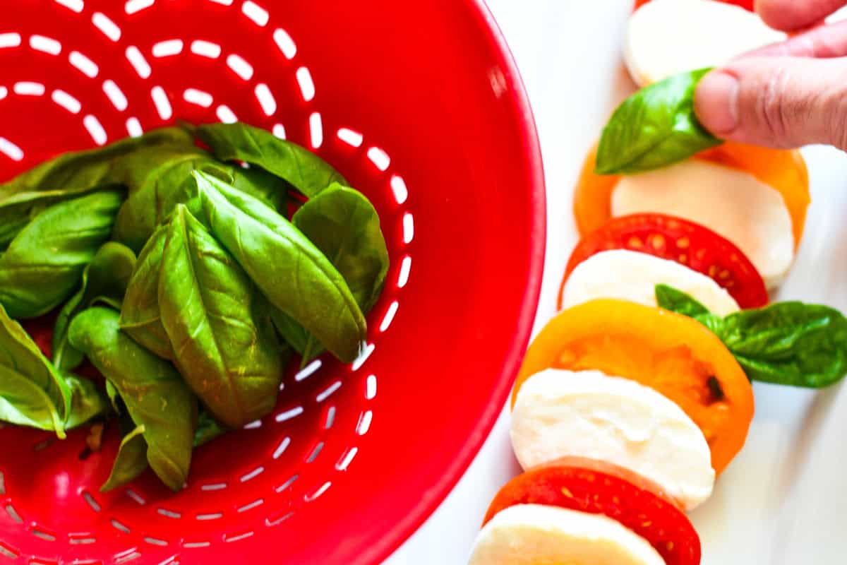 Caprese salad with tomatoes, fresh mozzarella, and fresh basil