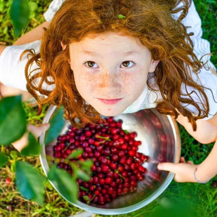 recipe-index-wild-game-fish