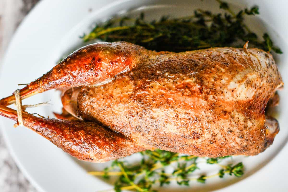 Easy Roast Pheasant Recipe Photo by Jeff Benda