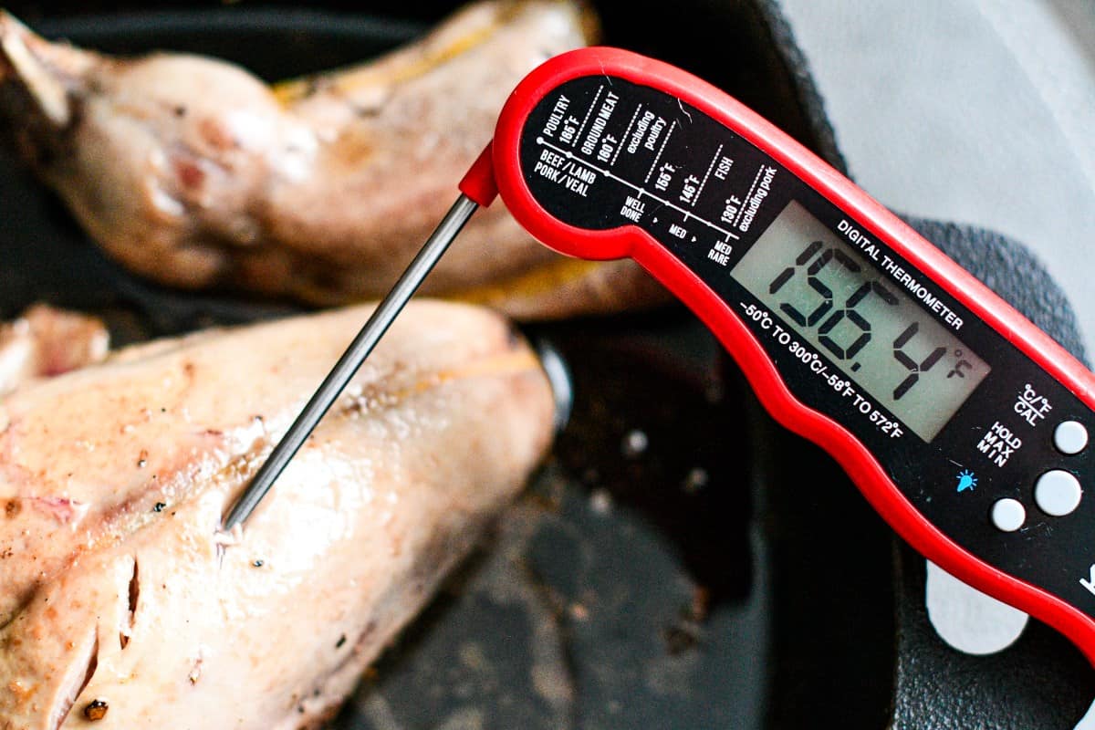 Pheasant Internal Temp