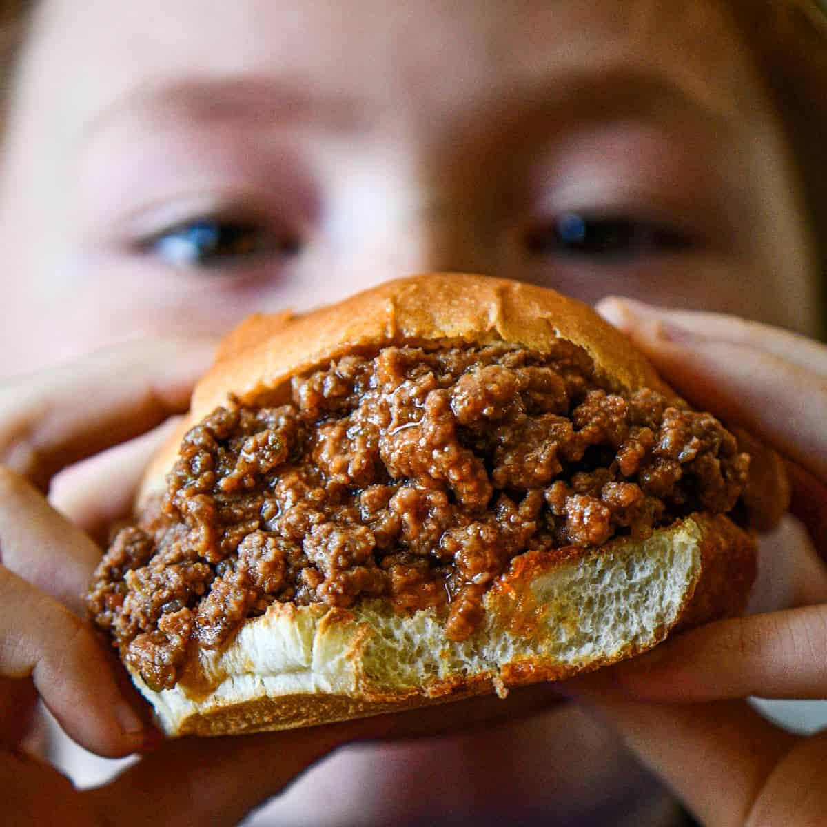 Venison Sloppy Joes Recipe