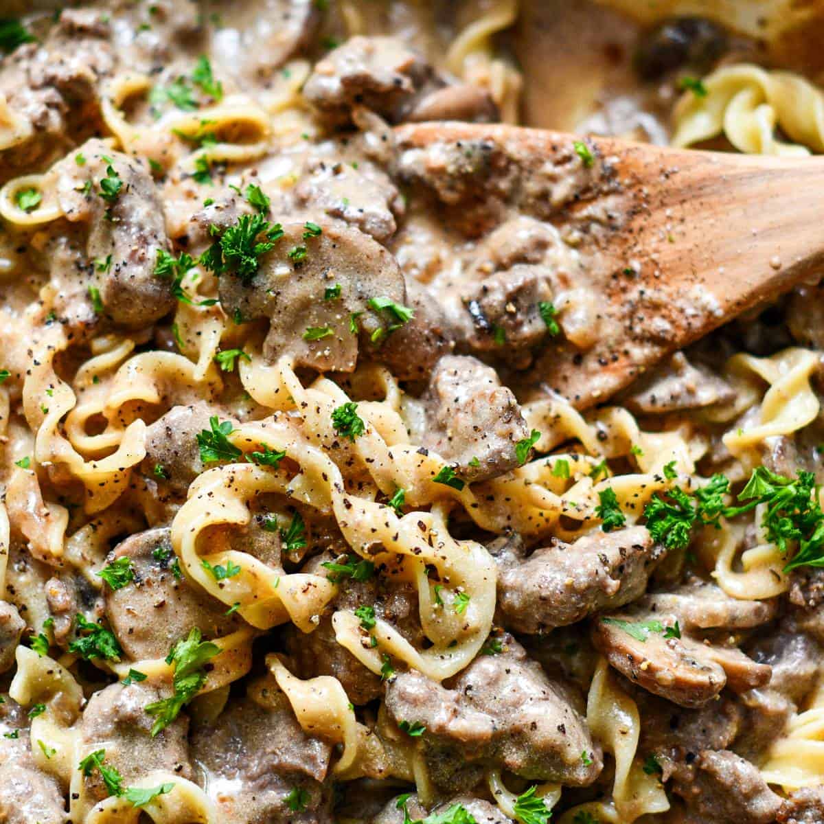 Easy Venison Steak Stroganoff Recipe by Jeff Benda