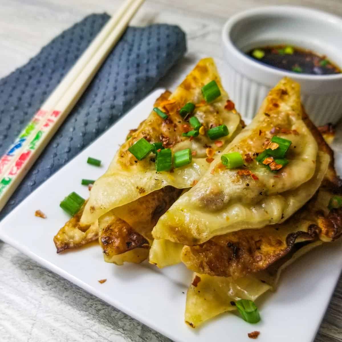 Gyoza (Potstickers) Recipe