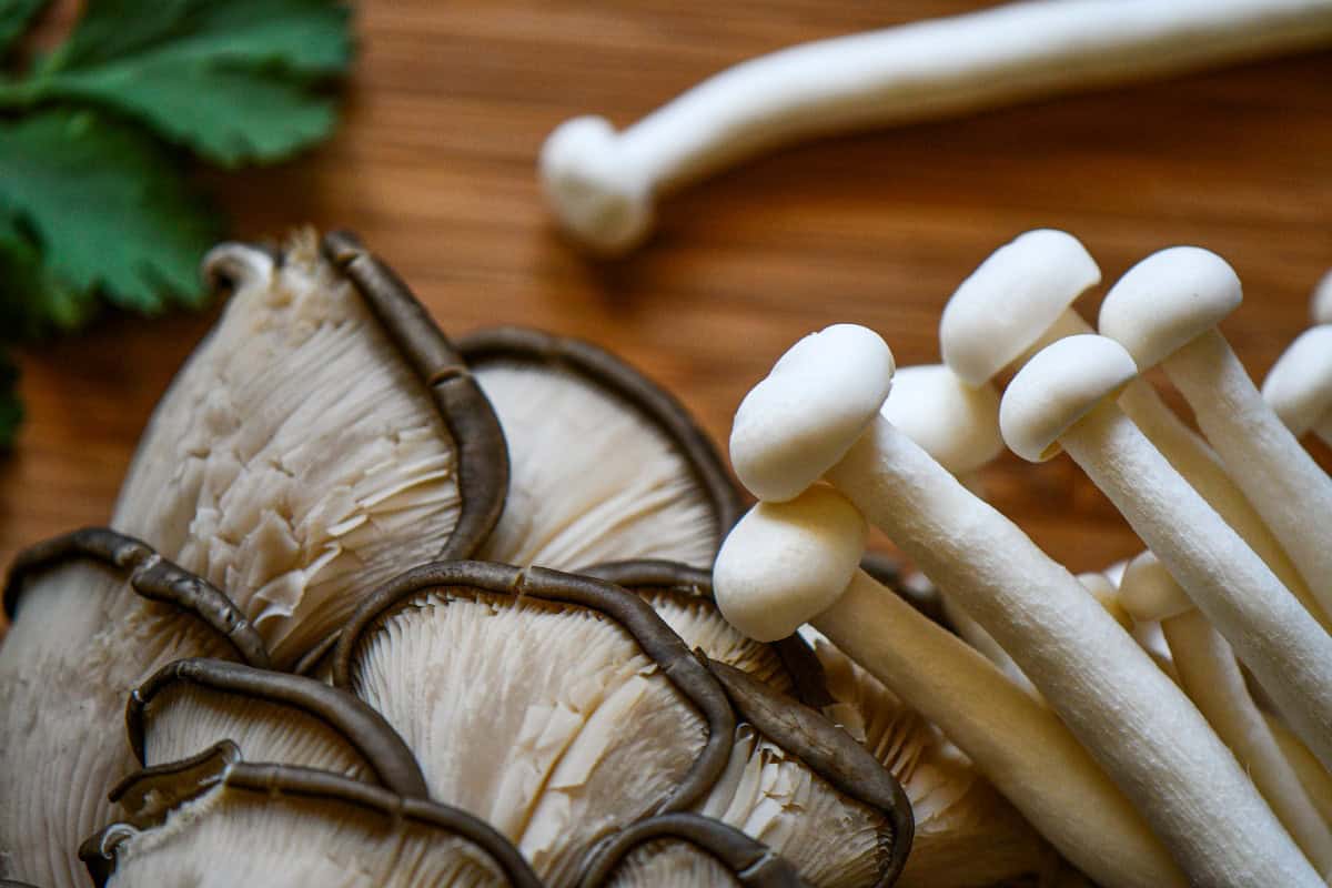 Oyster Mushrooms & Snow White Mushrooms