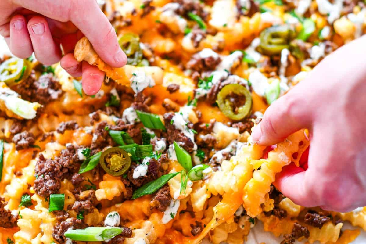 Loaded French Fries