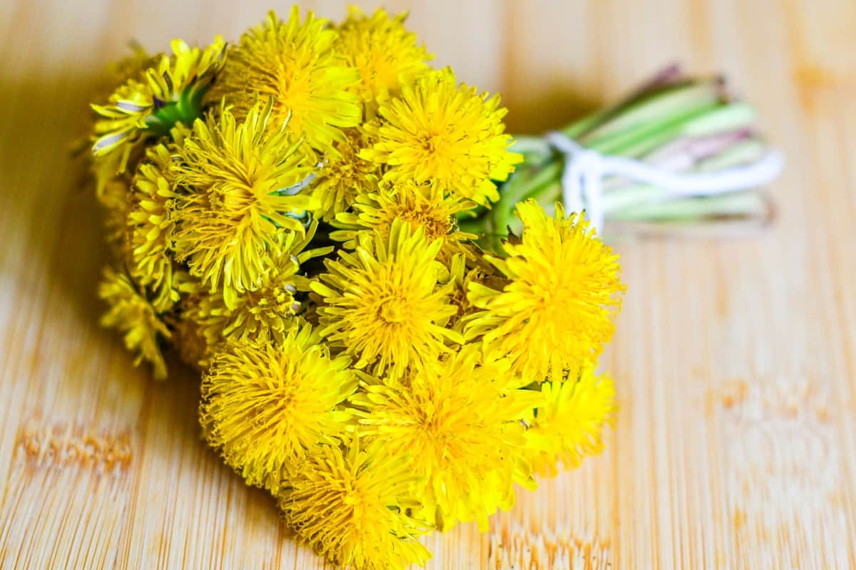 Dandelion Flower Bouquet