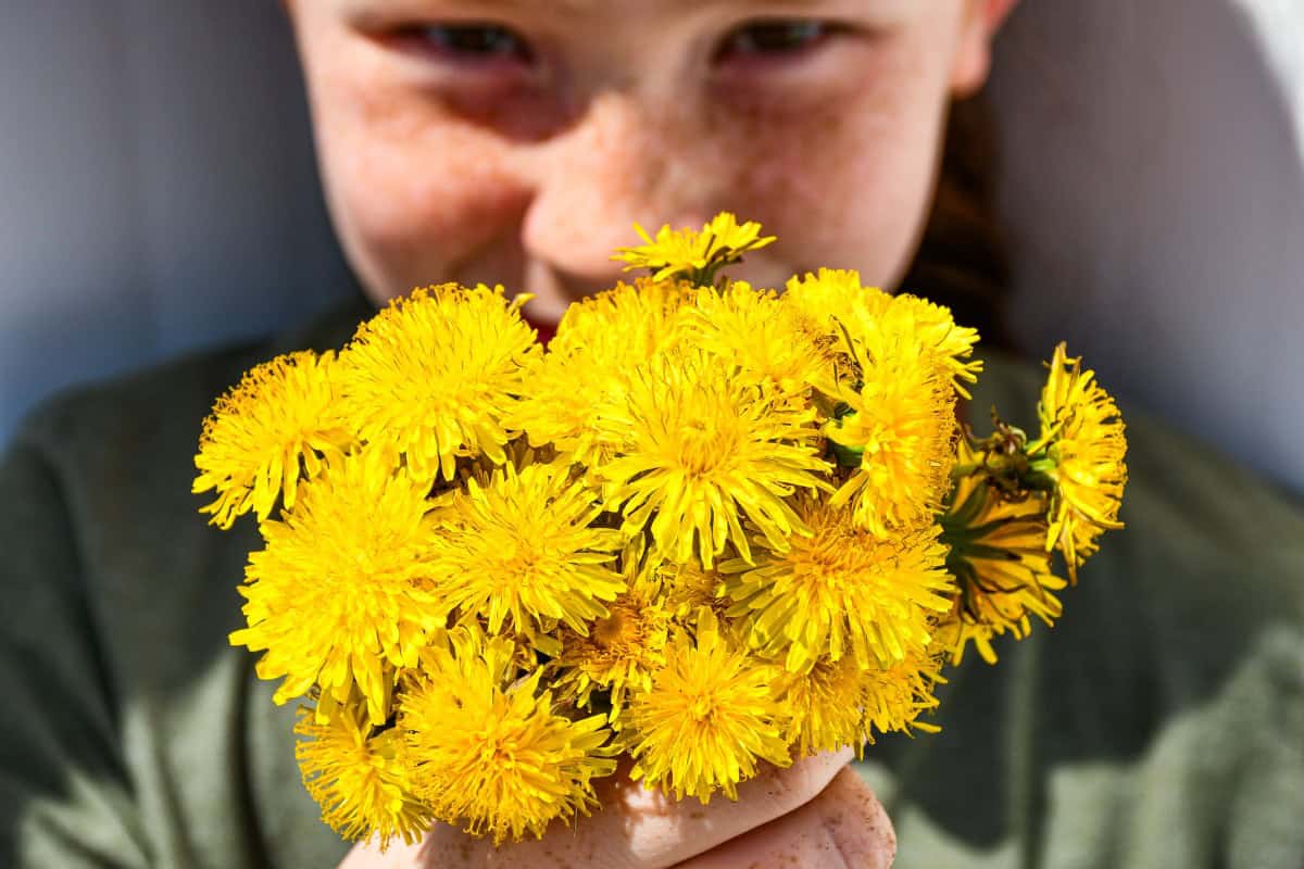 Dandelion Bouquet