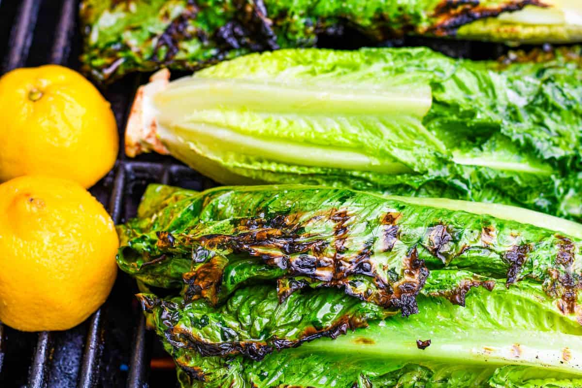 Grilled Romaine Lettuce