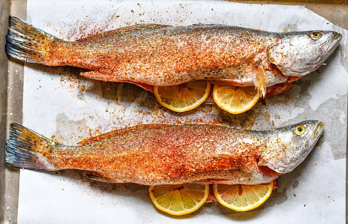 Ocean Trout Recipe