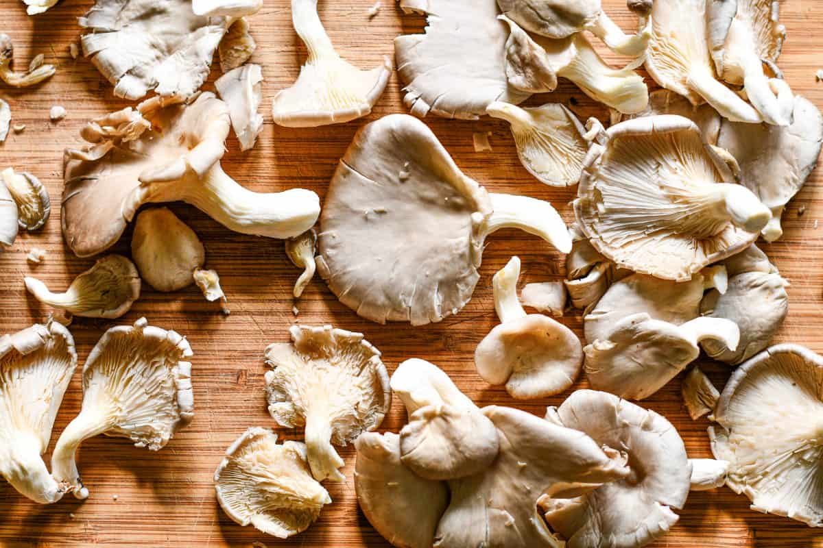 Oyster Mushrooms