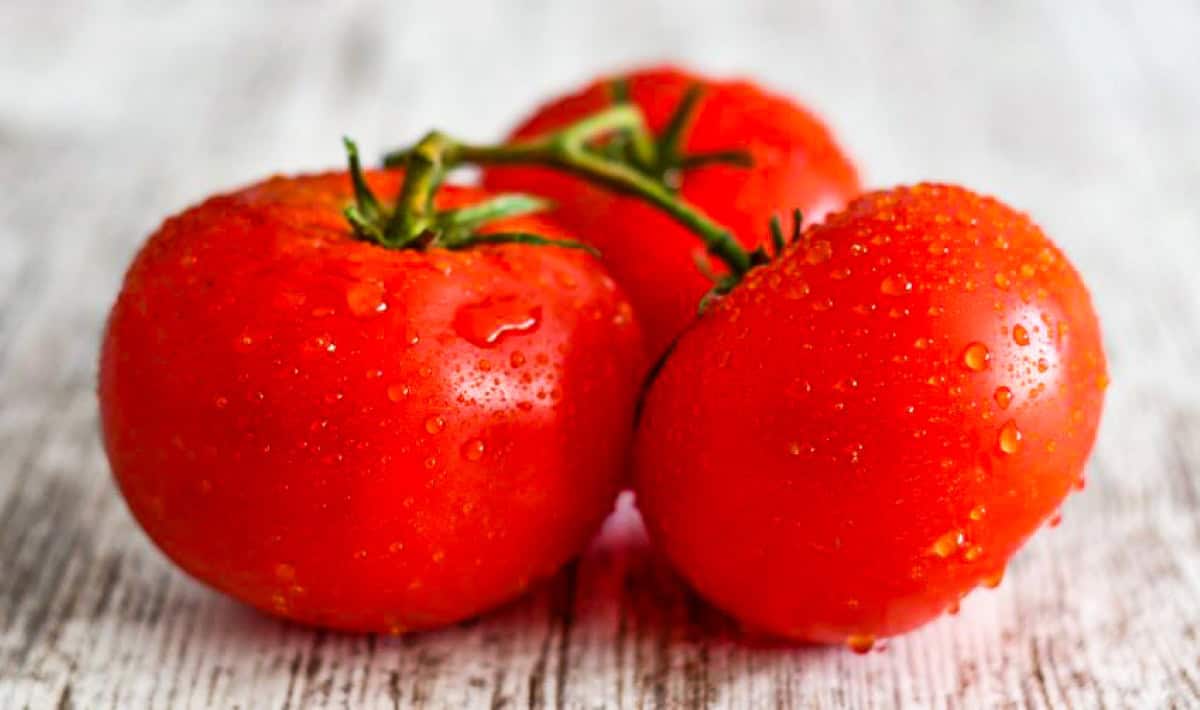 Fresh Garden Tomatoes