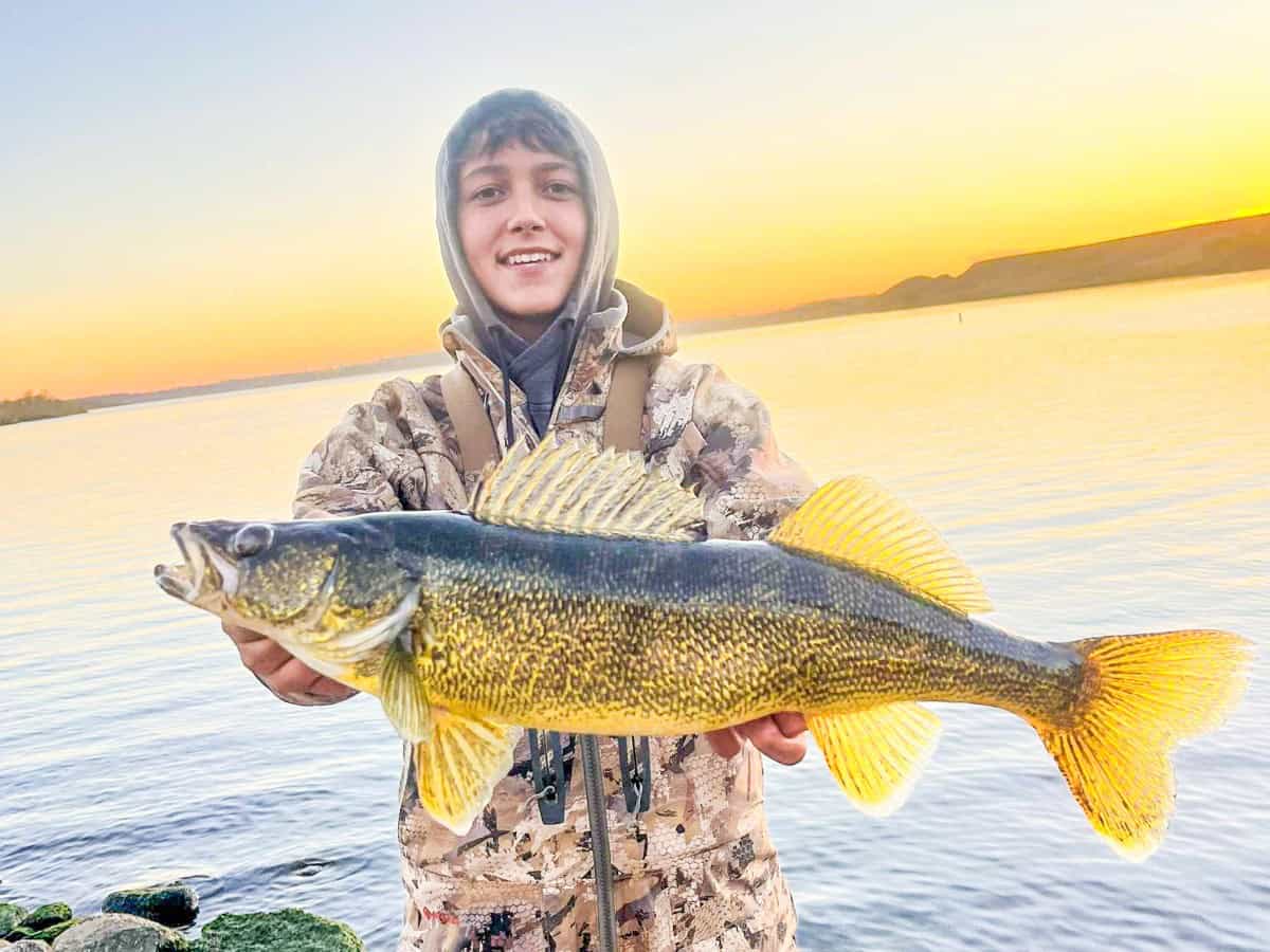 Walleye Caught in North Dakota