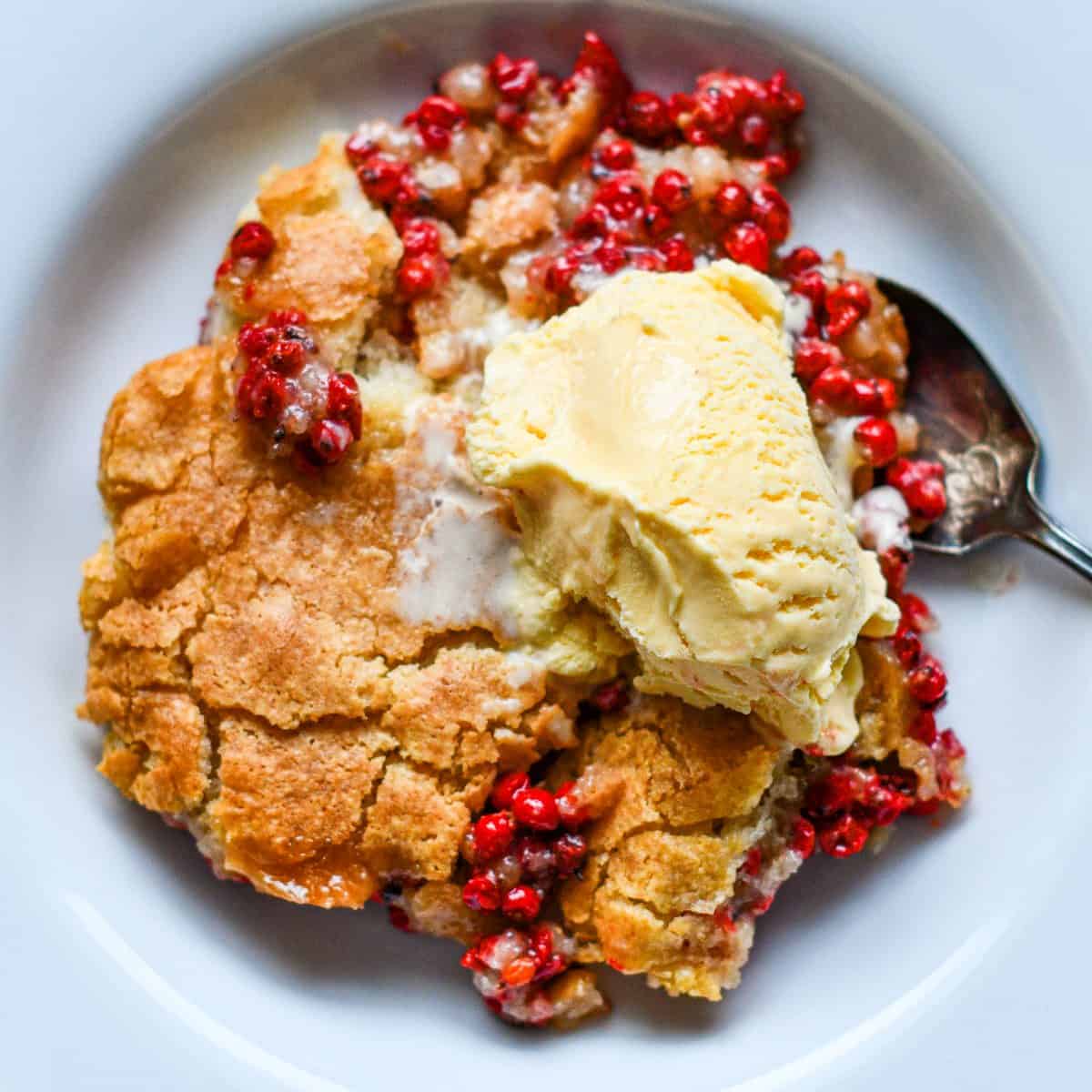 Silver Buffaloberry Cobbler Recipe with Vanilla Ice Cream by Jeff Benda