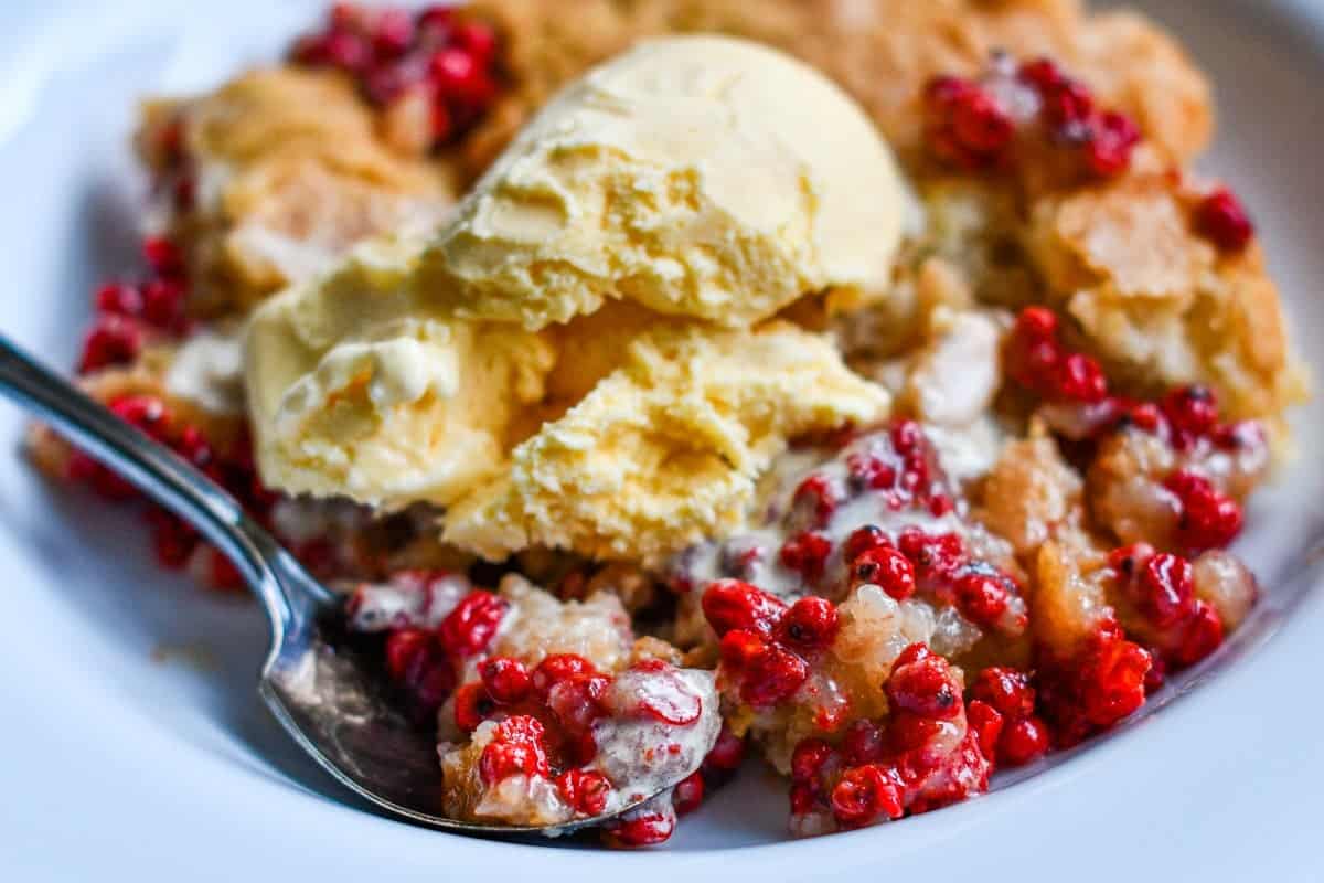Buffaloberry Cobbler with Ice Cream by Jeff Benda