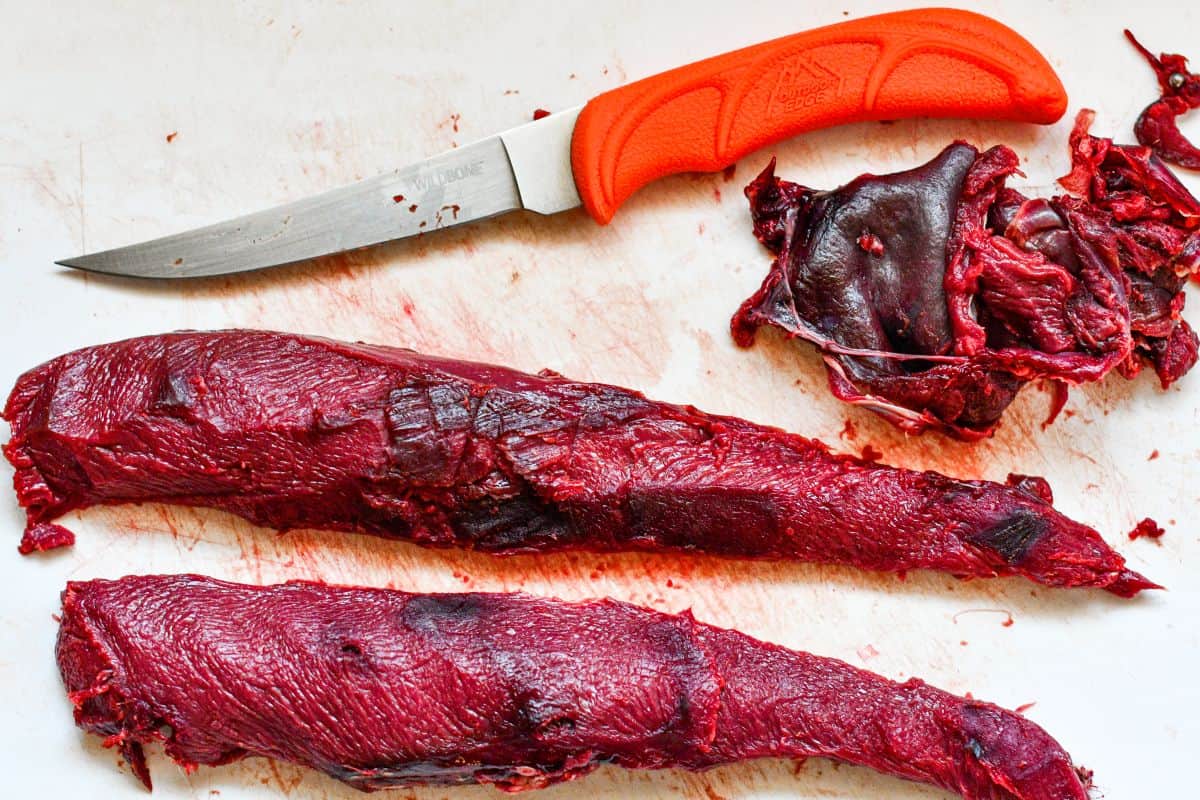 Cleaning Jack Rabbit Loin with Boning Knife