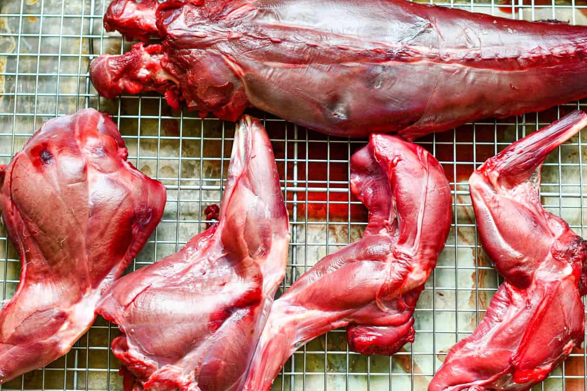 Jack Rabbit Loin and Legs