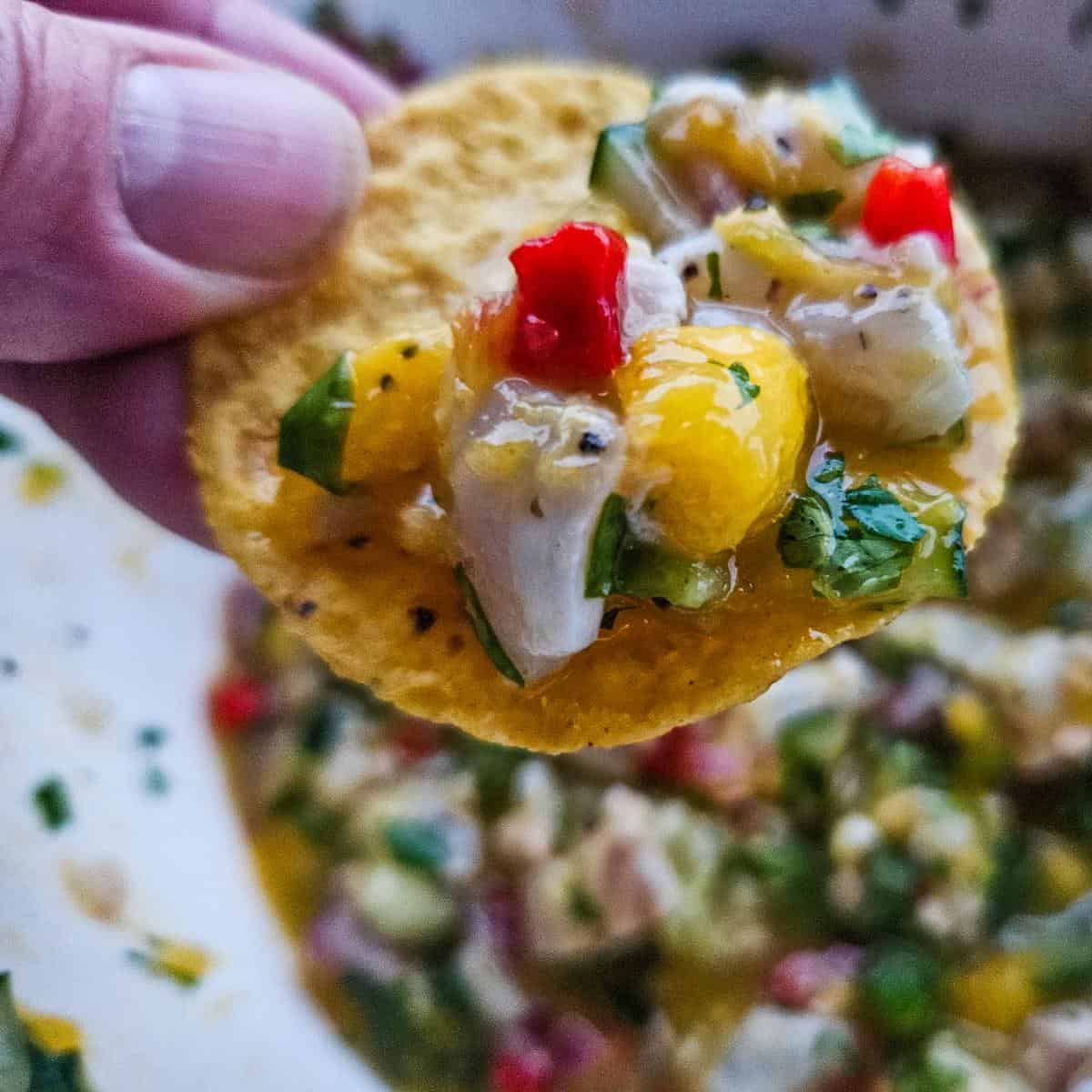 Redfish Ceviche with Mango Recipe by Jeff Benda