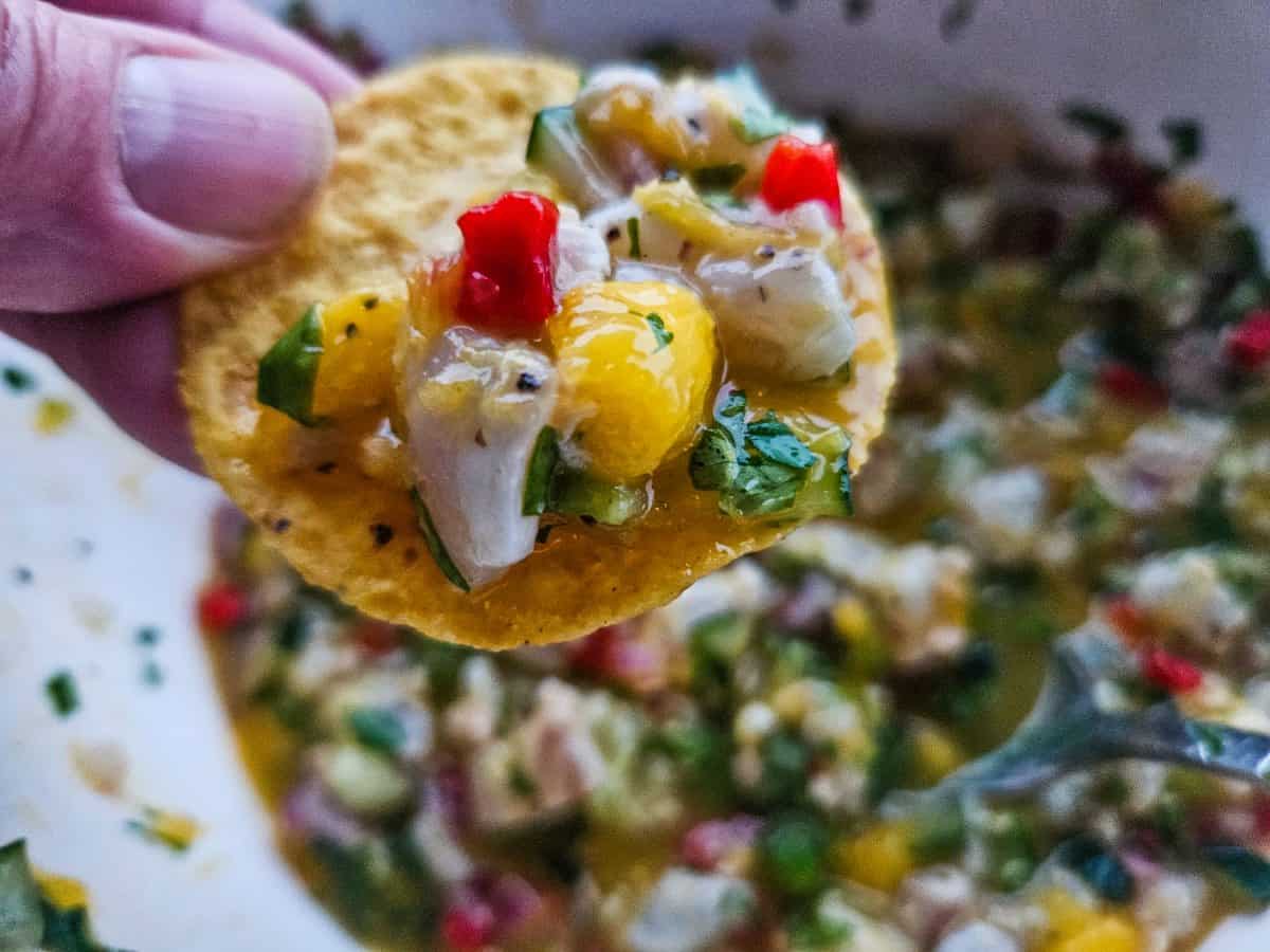 Redfish Ceviche with Mango by Jeff Benda