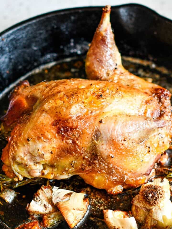 Roast Pheasant Recipe