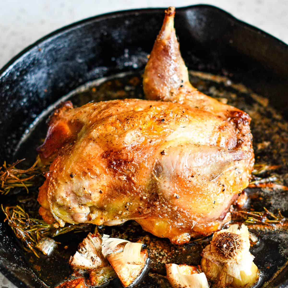 Roast Pheasant Recipe