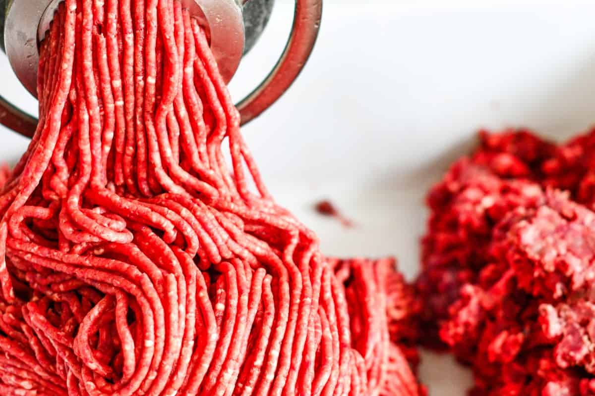 100% Ground Venison for Naan Burger Photo by Jeff Benda
