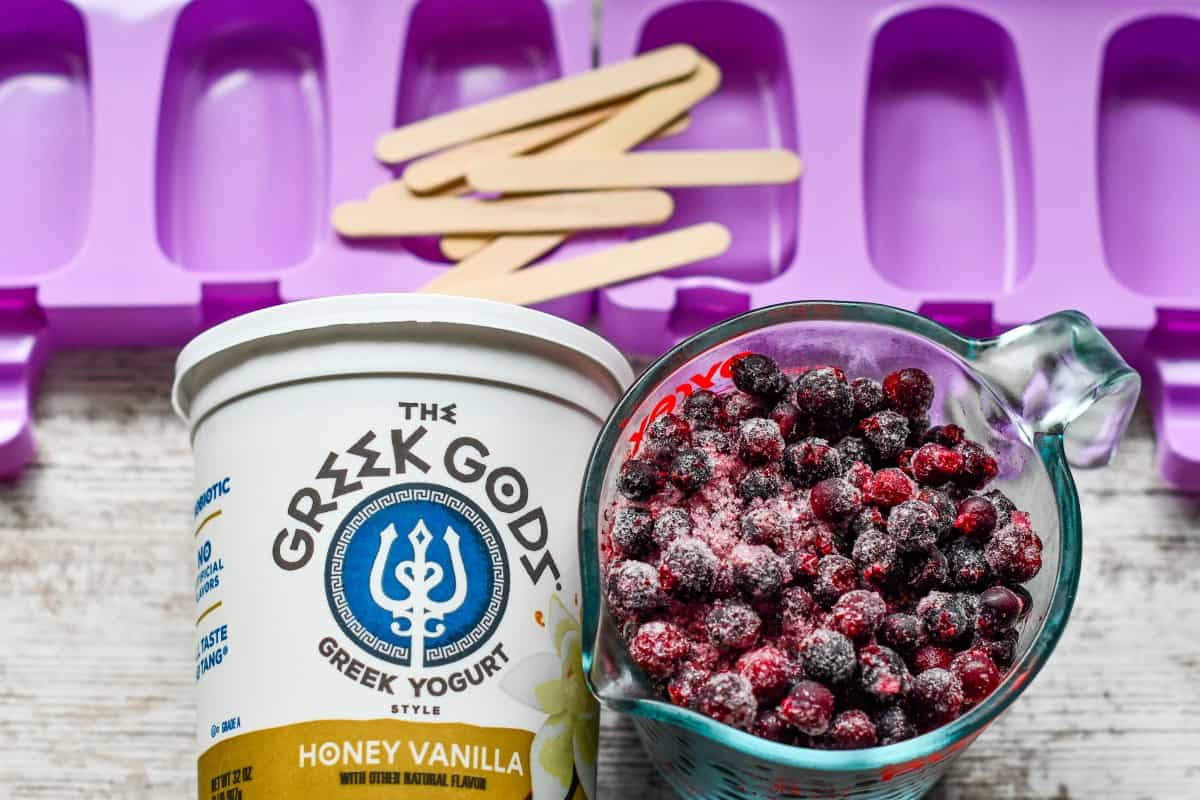 Juneberry Greek Yogurt Popsicle Ingredients with Mold
