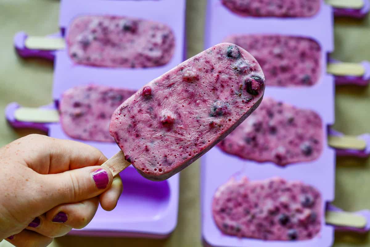 Juneberry Greek Yogurt Popsicles