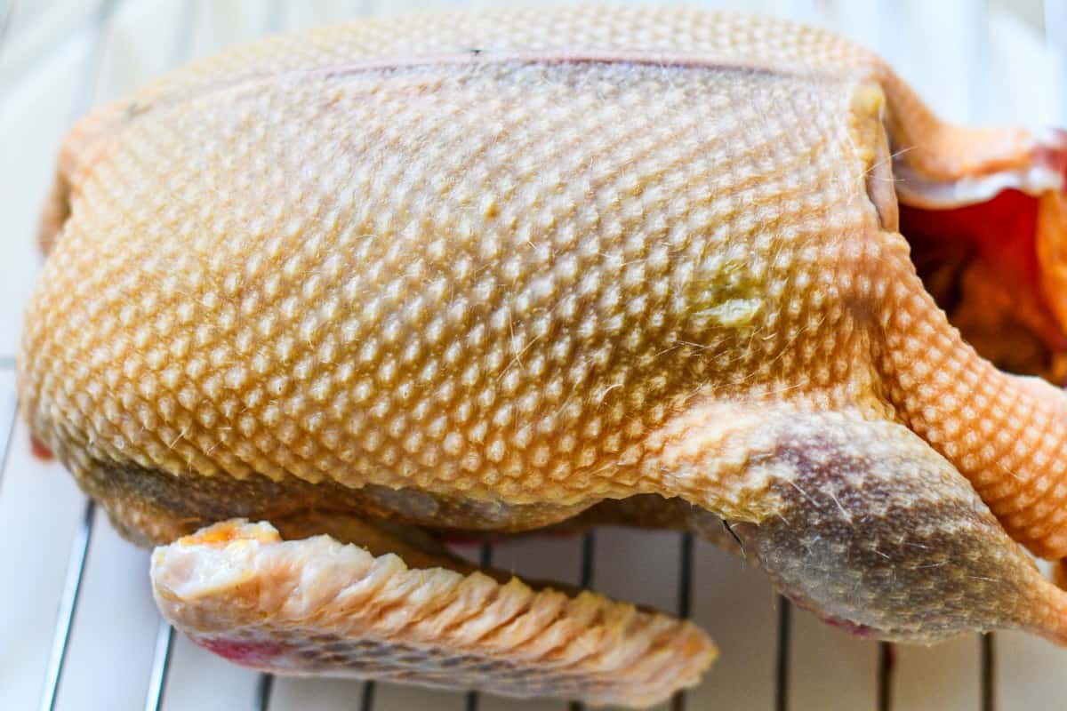 Plucked Mallard for Duck and Mushrooms Recipe