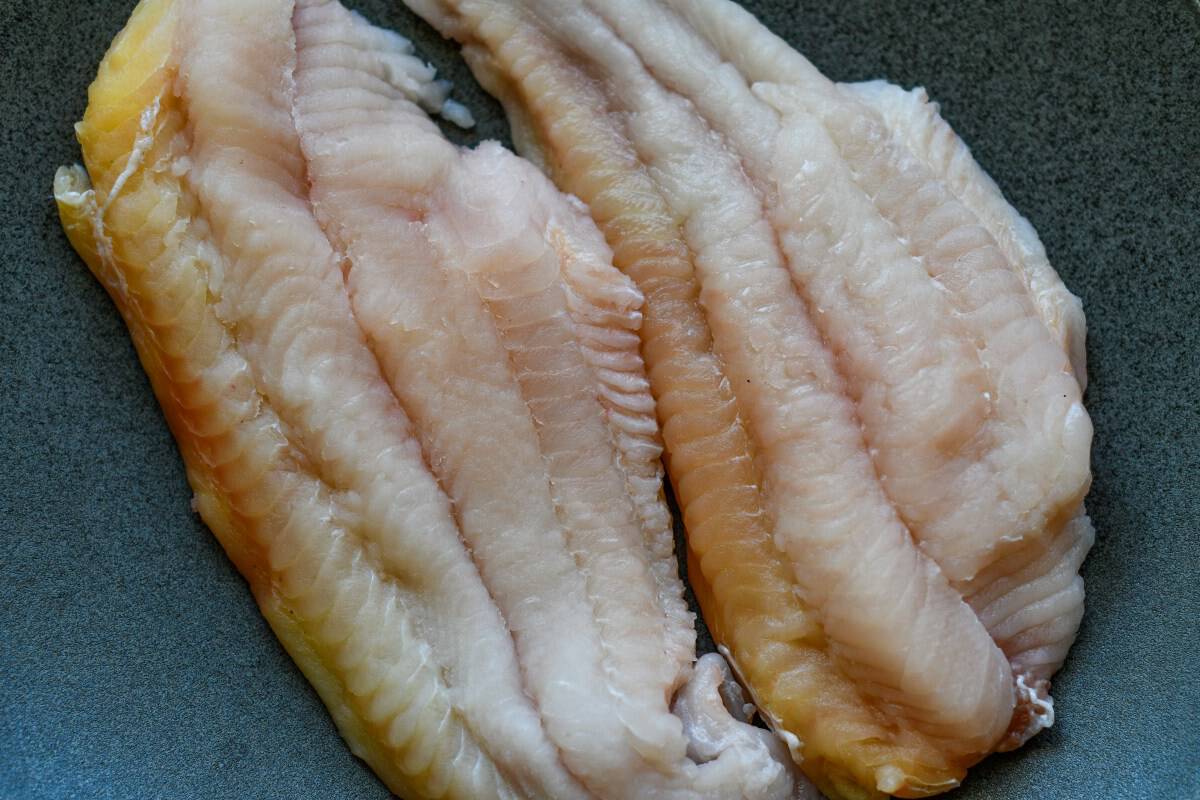 Channel Catfish Fillets