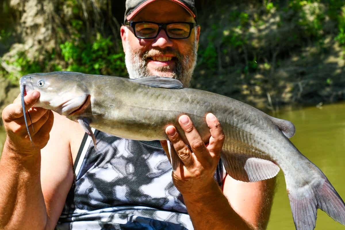 Jeffrey Miller with Channel Catfish caught in North Dakota