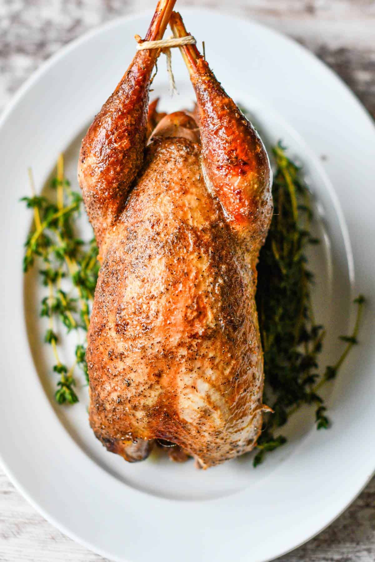 Easy Roast Pheasant by Jeff Benda